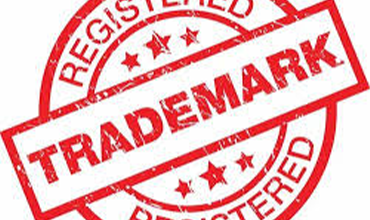 Private Detective In Chandigarh India For Trademark & Copyright